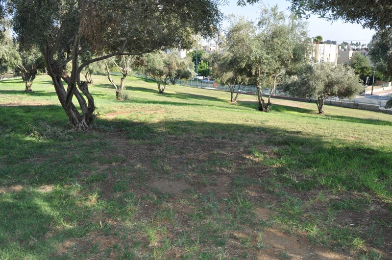 WhatsApp Image 2020-09-12 at 2.29.59 PM (1).jpeg.jpeg